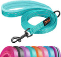 Didog 6FT Reflective Dog Leash for Small Medium Dogs, Slim 5/8" Width, Teal | Soft Padded Handle, Plush Comfort Grip, Tangle-Free, 360° Swivel Clasp for Daily Walking and Training, Night Safety by Didog