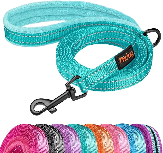 Didog 6FT Reflective Dog Leash for Small Medium Dogs, Slim 5/8" Width, Teal | Soft Padded Handle, Plush Comfort Grip, Tangle-Free, 360° Swivel Clasp for Daily Walking and Training, Night Safety by Didog