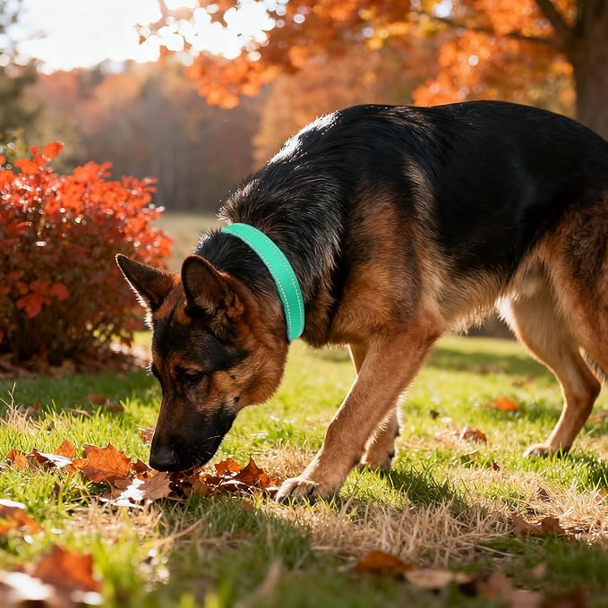 Taglory Reflective Extra Large Dog Collar, Comfortable for Safe Night Walks | Soft Neck Cushioning, Adjustable 18-28 in, Sturdy Webbing Withstands Strong Pullers, Zinc Alloy D-Ring for Leash and ID Tags - Image 2