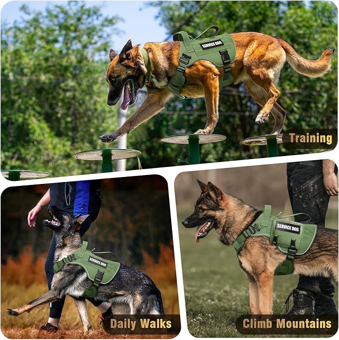 Tactical Dog Harness for Large Dog, Heavy Duty Service Dog MOLLE Vest with 10 Pet Patches, No Pull Military Working Vest for Training Hunting Walking - Image 9