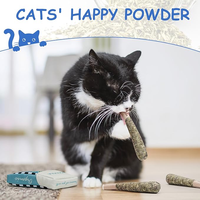 Nocciola 3 Pack Catnip Toys for Cats, Funny Cat Toys Filled with 100% Pure Organic Catnip, Safe Kitten Teething Chew and Kicker Toys, Stress Relieving Fun for Indoor Cats, Blue - Image 5