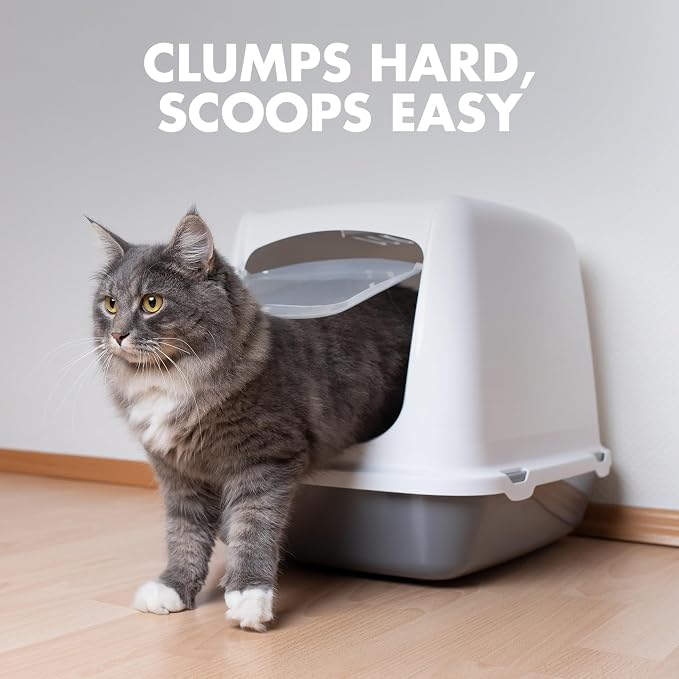ARM & HAMMER Naturals Clumping Cat, Litter Odor Control, Multi Cat Litter, 18 lb. Bag (Pack of 2) - Image 11