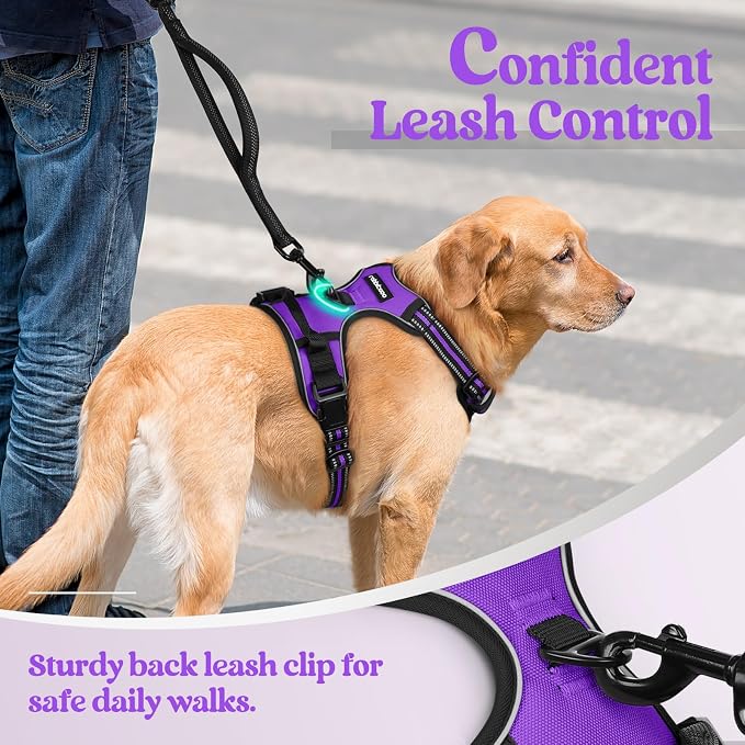 rabbitgoo Dog Harness, No Pull for Small Dogs with 2 Leash Clips, Pet Vest | No Choke with Handle, Adjustable Soft Padded, Reflective, Easy Control for Walking, Purple, Small - Image 6