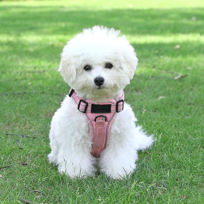 Service Dog Harness, Reflective Dog Vest Harness with 5 PCS Patches, Adjustable Soft Oxford Pet Harness, Inner Layer Mesh, Easy to Control for Small Medium Large Dogs - Image 7