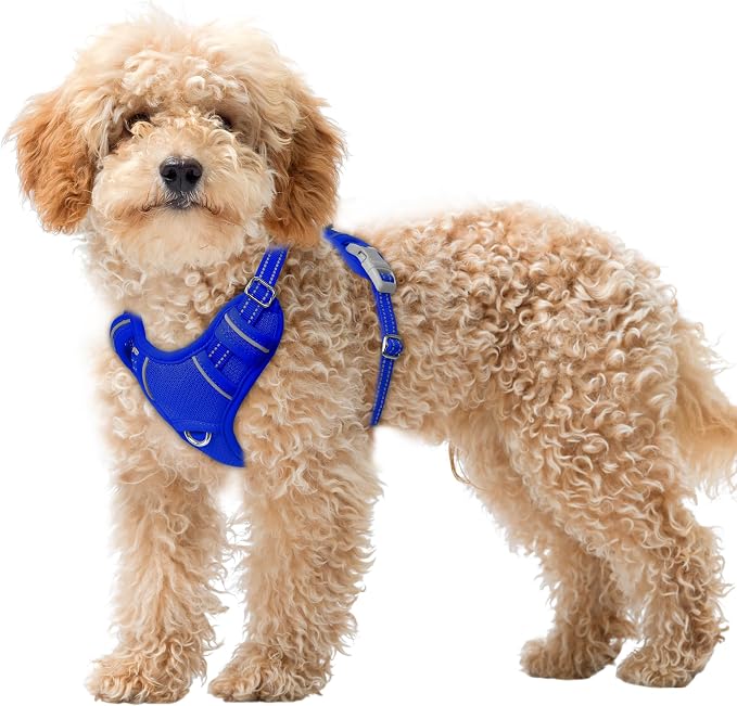 BARKBAY No Pull Dog Harness Large Reflective Dog Harness with Front Clip and Easy Control Handle for Walking Training Running with ID tag Pocket(Sapphire Blue,XS) by BARKBAY