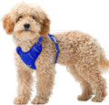 BARKBAY No Pull Dog Harness Large Reflective Dog Harness with Front Clip and Easy Control Handle for Walking Training Running with ID tag Pocket(Sapphire Blue,XS) by BARKBAY