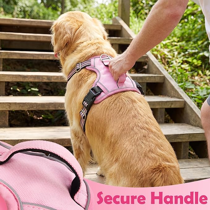 Dog Harness No Pull, Adjustable Pet Vest Harness, Super Soft Material with Vertical Handle Easy Control, Reflective Night Walking, 2 Leash Clips for Medium Sized Dogs, Pink, M - Image 5