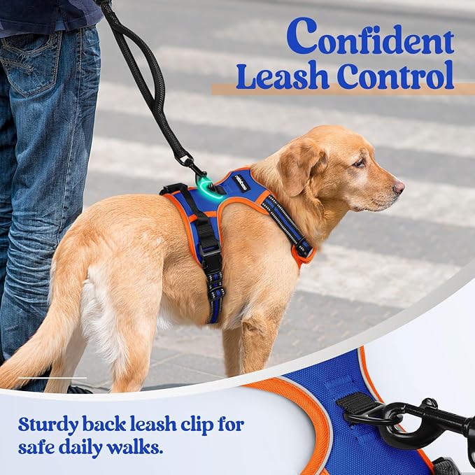 rabbitgoo Dog Harness, No Pull for Small Dogs with 2 Leash Clips, Pet Vest | No Choke with Handle, Adjustable Soft Padded, Reflective, Easy Control for Walking, Blue & Orange, Small - Image 6