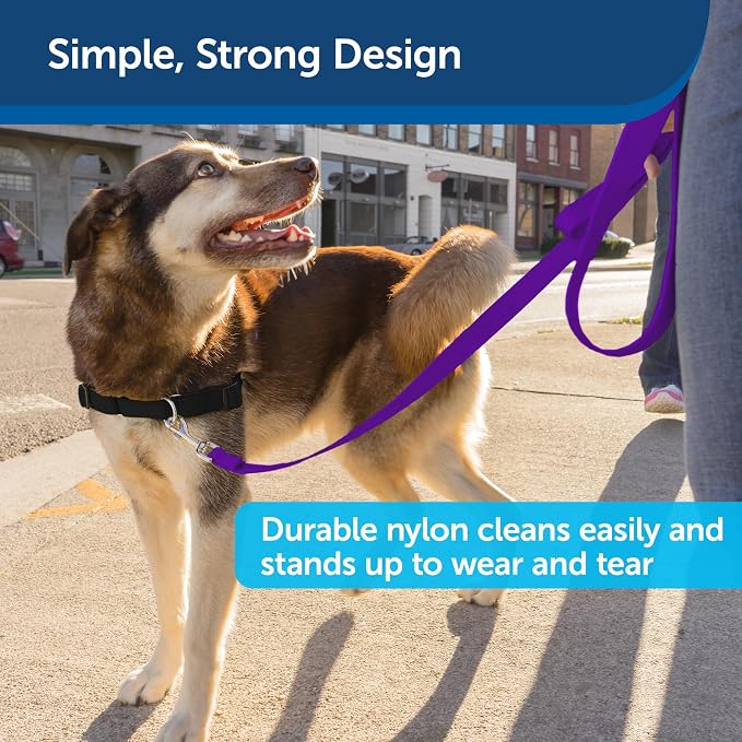 PetSafe Nylon Dog Leash - Strong, Durable, Traditional Style Leash with Easy to Use Bolt Snap - 1 in. x 6 ft., Deep Purple | Durable Nylon Leash with Easy on/off Bolt Snap Hook, Pairs Perfectly with Easy Walk Harness and Gentle Leader Headcollar - Image 4