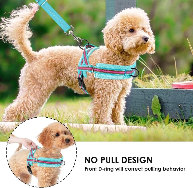 Lukovee Small Dog Harness and Leash Set, No Pull Soft Padded Vest | Both Neck & Chest Adjustable, Reflective, Puppy Harness with 4ft Lightweight Anti-Twist Dog Leash for Small Dogs (01-LBL, XS) - Image 8