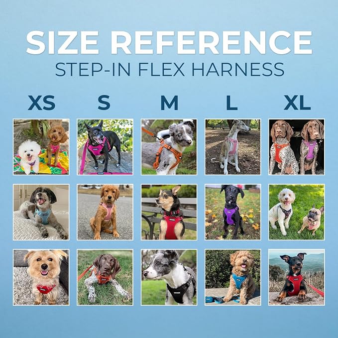 Best Pet Supplies Voyager Adjustable Step-in Flex Breathable Mesh Dog Harness for Small Medium Large Dogs Leash Set (Royal Blue), L - Image 6