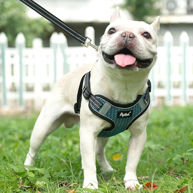 PUPTECK Dog Harness and Leash Set Medium Sized, Step in No Pull Adjustable Puppy Cat Harness Reflective Pet Vest - Image 5