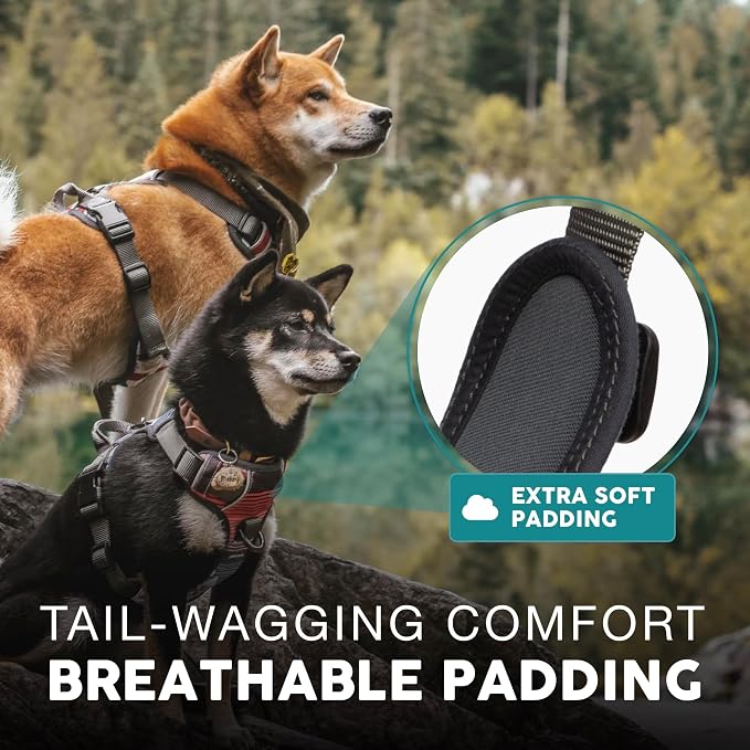 Embark No Pull Dog Harness, Reflective Adjustable Training Vest, No Choke | Adjustable straps fit all dog breeds with sturdy hooks; 360° reflective trim, soft padded Harness Design for All Dogs - Image 3
