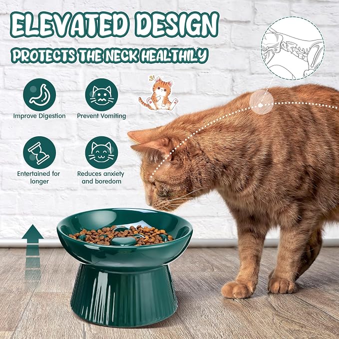 Tioncy 1 Pcs Ceramic Elevated Slow Feeder Cat Bowl, Raised Cat Slow Feeder Bowl, Anti Vomiting for Dry and Wet Food, No Spill High Edge Easy Clean Dishwasher Safe (Dark Green) - Image 4