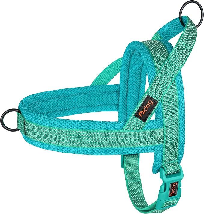 No Pull Dog Harness for Small Dogs, Breathable Mesh Padded, Green, S | Quick Fit, Easy On and Off, Adjustable, Reflective Vest Harness for Night Safty, Easy for Walking and Training, Chest 18-22" by Didog