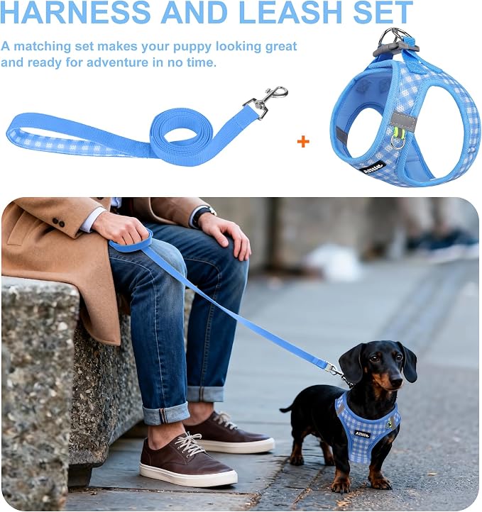 AIITLE Step in Medium Dog Harness and Leash Set, Puppy Pet Vest, Blue L | Breathable Mesh, Adjustable Fit, No-Pull Reflective Design, Escape Proof, for Small-Medium Dogs, Outdoor Walking, Running - Image 4