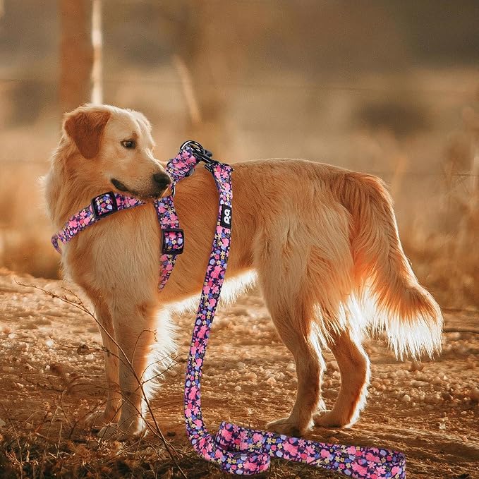 Dog Harness Leash Set Adjustable Heavy Duty No Pull Halter Harnesses for Small Medium Large Breed Dogs Back Clip Anti-Twist Perfect for Walking - Image 2