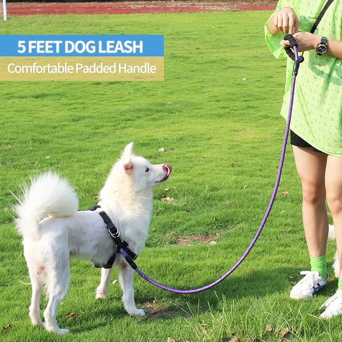 2/4/5/6 FT Dog Leash with Comfortable Padded Handle and Highly Reflective Threads for Small Medium and Large Dogs (5FT-1/2'', Purple) - Image 5