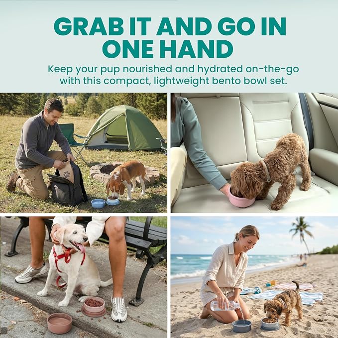 Dog Travel Bowls - Set of 2 Portable Pet Food & Water Dishes with Lid & Handle - Each Nesting Container Includes a Non-Slip Silicone Base - Microwave & Dishwasher Safe - BPA & Toxin-Free - Image 3