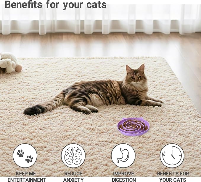 Bifeaw Slow Feeder Cat Bowl, Easy to Clean Silicone Bowl, Ideal for Dry and Wet Food (Purple and Pink) - Image 5