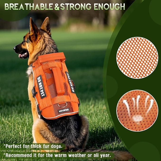 WINSEE Tactical Molle Vest Mesh Dog Harness with 10 Removale Pet Patches | Breathable Service Dog harness with Double Soft Padded Handle for Medium Dog, Reflective Military Pet Vest for Walk Hiking - Image 2