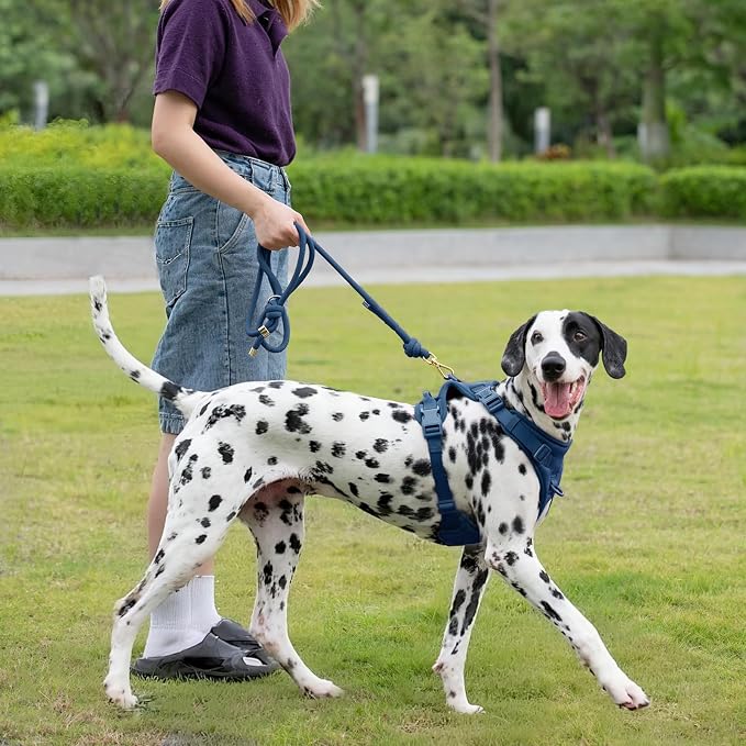 5FT Dog Leash Puppy Cat Rope Lead for Small Medium Large Dogs | Prussian Blue,with Anti-tangle Swivel Clip,Non-slip Grip Handle,Ideal for Daily Walks and Training - Image 8