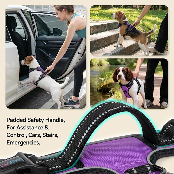 No Pull Dog Harness Medium Reflective Front Clip Puppy Vest | with Handle,Adjustable 2 Metal Leash Attachment Hooks(M, Purple) - Image 4