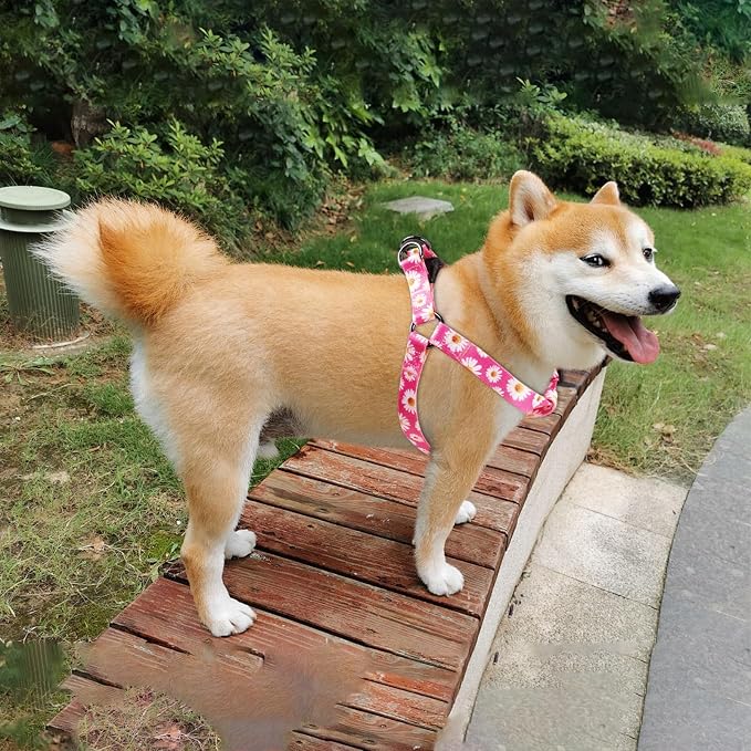 Dog Harness Leash Set Adjustable Heavy Duty No Pull Halter Harnesses for Small Medium Large Breed Dogs Back Clip Anti-Twist Perfect for Walking (L(23"-32" Chest Girth), Daisy) - Image 8