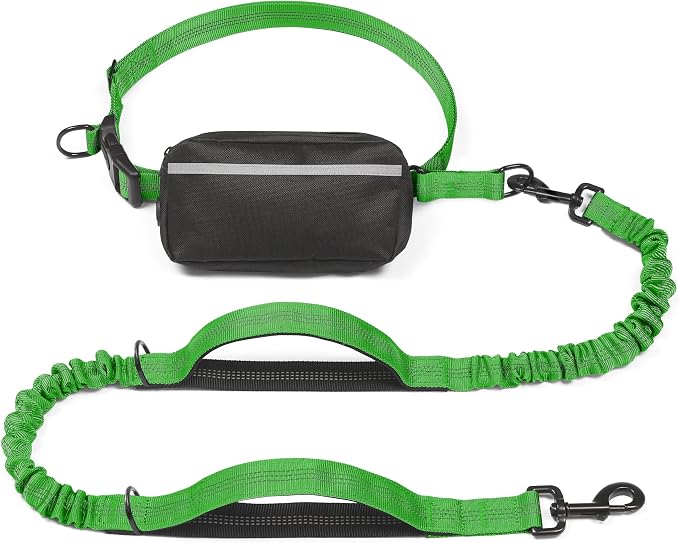 Hands Free Dog Leash with Zipper Pouch, Large, 25-120 lbs, Emerald | Waist Leash, Dual Padded Handles, Shock-Absorbing Bungee, Adjustable Waist Belt, Walking and Running by iYoShop