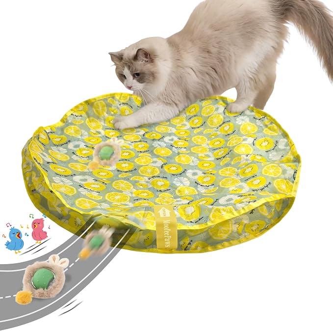 Cat Toys for Indoor Cats, Interactive Cat Toy for Adult Cats | Hide and Seek Play Mat for Bored Kittens, Automatic Rolling Ball with Real Bird Chirping, Motion Activated Rechargeable by MoofeePaws