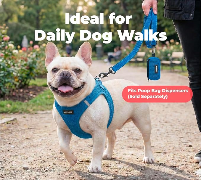 Best Pet Supplies Voyager Nylon Dog Leash - 6ft Royal Blue, Large | 6ft in Length, 1" in Width, Reflective, Soft Neoprene Handle, Heavy Duty Metal Clips for Running, Walking & Training - Image 3