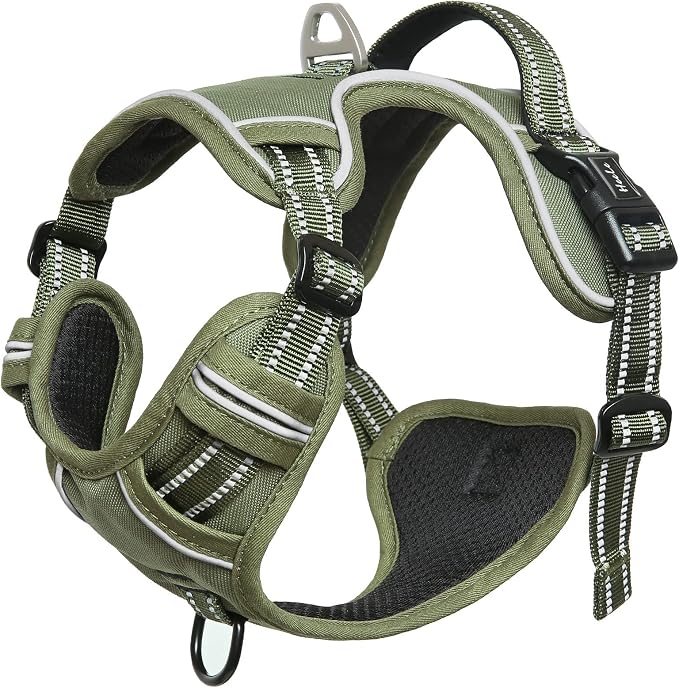 HEELE Dog Harness, Dog Harness for Small Medium Large Dogs No Pull Adjustable Padded Reflective Harness with Handle for Walking Training, Green, XS | Reflective Front Clip Vest with Control Handle, No Choke, Adjustable 2 Metal Rings for Outdoor Walking... - Image 3