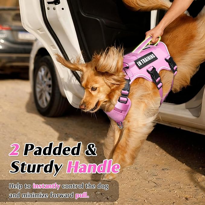 WINSEE Escape Proof Dog Harness with Double Handle+4 Removable Patches | Service Working Molle Harness with Double Handle for Medium Dogs, Tactical Pet Reflective Vest for Walking Hiking Hunting - Image 3