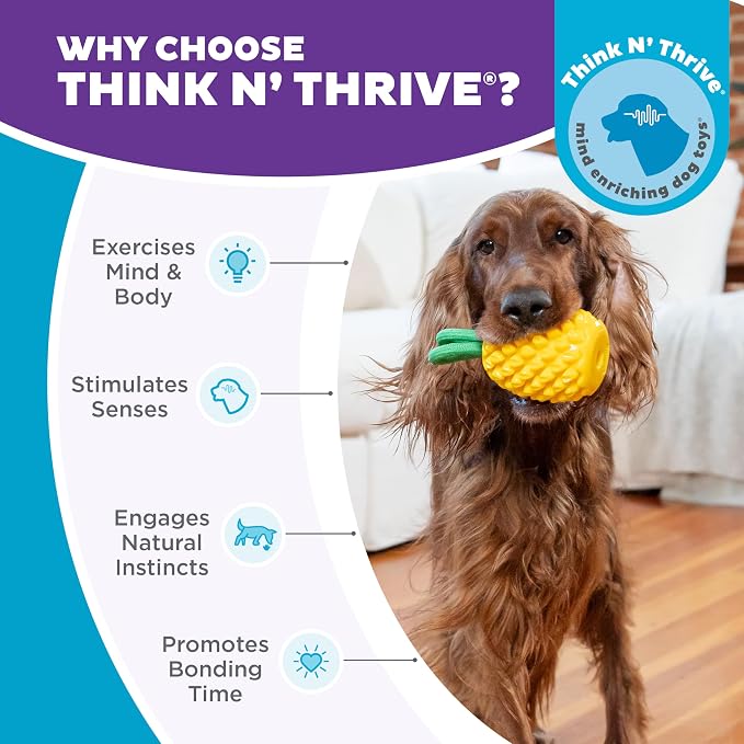 Outward Hound Dental Pineapple Dog Toy & Treat Stuffer, 6.8″ x 3.3″ Pineapple-Scent Interactive Chew for Dogs, Promote Healthy Teeth, Gums & Mental Enrichment, Reduce Boredom & Support Dental Health - Image 6