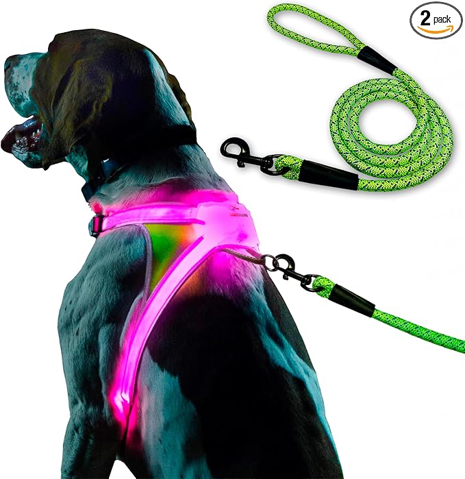 noxgear LightHound Light Up Reflective Dog Harness and Leash, Medium | 360° Light Up Reflective Dog Harness, 8 Colors & 6 Modes, USB Rechargeable, Adjustable, Rainproof, LED Fiber Optic by Noxgear