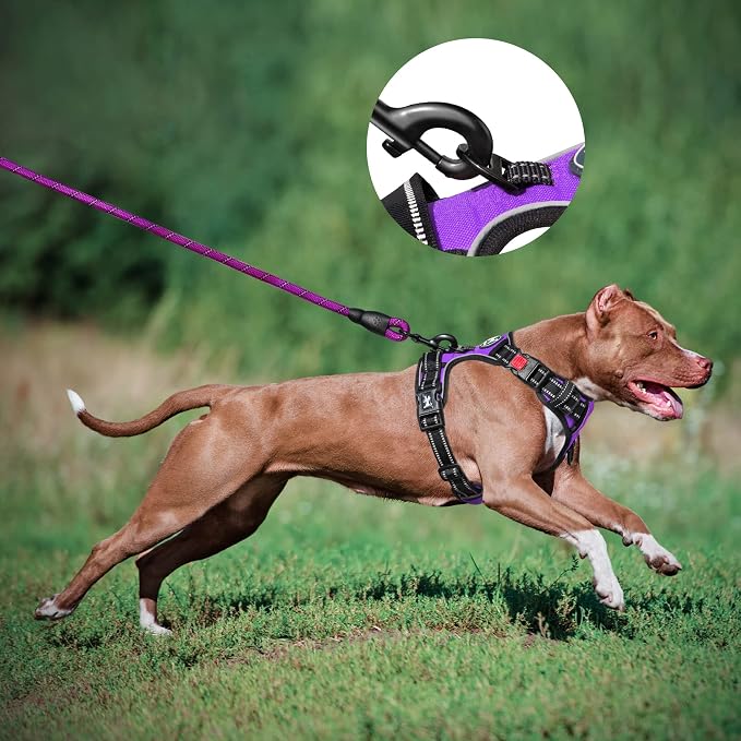 PoyPet Dog Harness and Leash Set, No Pull Vest with Front Clip and Handle | Escape Proof, Reflective, 3 Buckles, 2 D-rings, Adjustable, Soft Padded, 5 Feet Leash, for Walking Training, Purple, S - Image 5