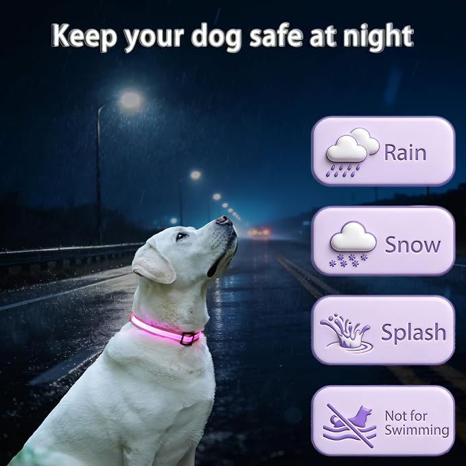 USB Rechargeable LED Dog Collar, Waterproof, Adjustable, Glowing, for Medium Dogs, Night Walking, Camping, Jogging, Pink, M (Neck 15-24", Width 1") - Image 3