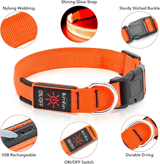 Illumifun LED Dog Collar, Adjustable Light Up Dog Collars, USB Rechargeable Water-Resistant Glowing Safety Collar Light (Orange, Small) - Image 3