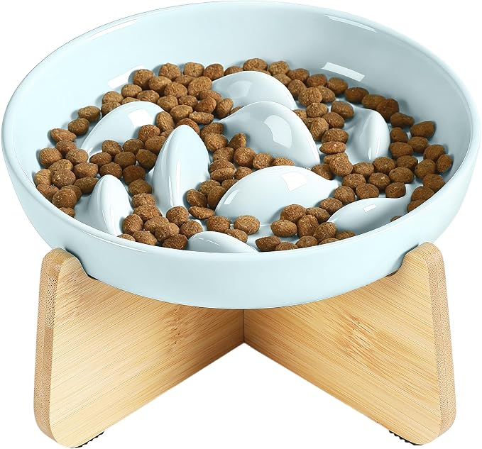 PETTOM Slow Feeder Cat Bowl with Stand, Ceramic Slow Eating Cat Bowl with Higher Edges Fish Pool Design Elevated Food Bowls for Dry and Wet Food Anti-Vomiting Puzzle Feeder for Healthy Eating Diet by PETTOM