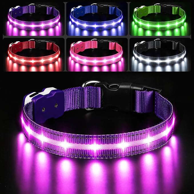 PcEoTllar Light Up Dog Collar, Led Dog Collar for Night Walking, Purple, L | Led Dog Collar for Night Walking, 3 Flashing Mode, USB Charge, For Small Medium Large Dogs, Waterproof, Durable Material by PcEoTllarPetSupplies