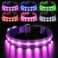 PcEoTllar Light Up Dog Collar, Led Dog Collar for Night Walking, Purple, L | Led Dog Collar for Night Walking, 3 Flashing Mode, USB Charge, For Small Medium Large Dogs, Waterproof, Durable Material by PcEoTllarPetSupplies