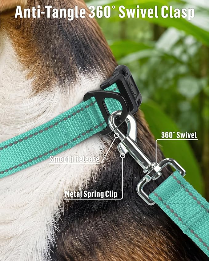 FunTags Reflective Nylon Dog Leash for Small & Medium Dogs, 4FT Training | Comfortable Padded Grip, Stay Safe at Night, 360° Anti-Tangle Swivel, for Dog Parks & Trails, Turquoise - Image 4