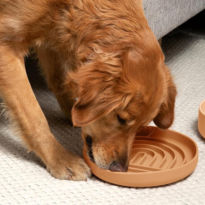 Should We Go? Slow Feeder Dog Bowls - Large Size Silicone Slow Eating Dog Bowl for Puppies & Dogs with Suction Cup -Dishwasher-Safe,Lick Mat Design,Reduces Gulping,for All Breeds,9.5”x1.5”-Terracotta - Image 5
