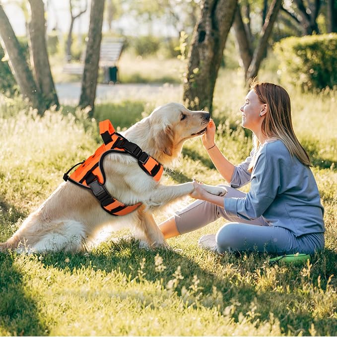 WINGOIN Orange Tactical Dog Harness for Small Dogs,No Pull Dog Harness | Heavy Duty with Handle,Adjustable Reflective,Military K9 Body Pet Vest,for French Bull Pugdog,for Walking Training Running - Image 6