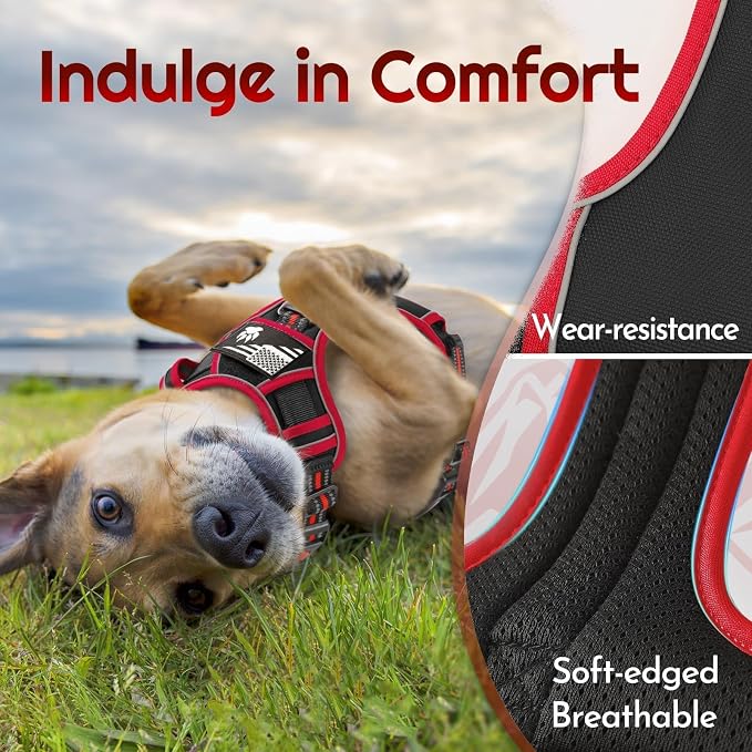 Eagloo Dog Harness No Pull for Small Dogs, Easy On & Off with 3 Buckles | No Choke with Front Clip, Adjustable Fit, MOLLE System, Reflective Vest, Easy Control for Walking, Black & Red, Small - Image 6