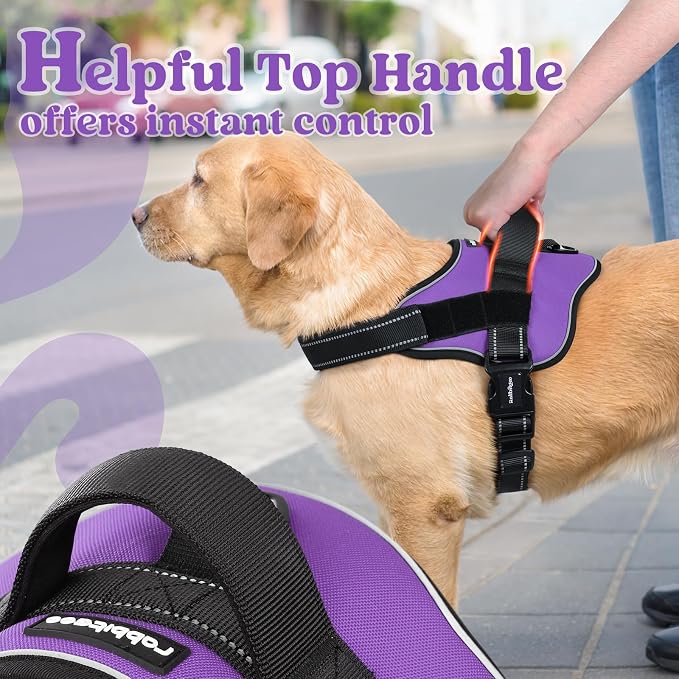 rabbitgoo No Pull No Choke Pet Vest, Adjustable Pet Harness with Molle | Medium Sized Dog Harness, Reflective, Easy Wearing with One Buckle for Walking, Training, Purple, M - Image 8