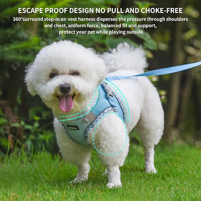 Medium Dog Harness and Leash Set with Breathable Mesh, Blue M | No Pull Step-in Vest, Reflective & Escape-Proof Design with High-Stick Magic Tape, Indoor/Outdoor Use for Teddy, Schnauzer - Image 5