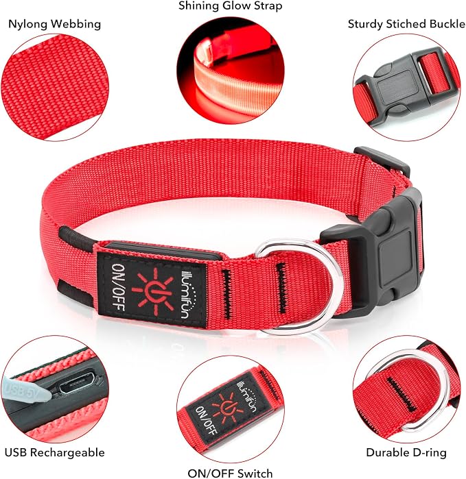 Illumifun Light Up Dog Collar - USB Rechargeable LED Dog Collar Glow in the Dark, Adjustable Pet Collar Light for Night Walking (Red, Medium) - Image 4