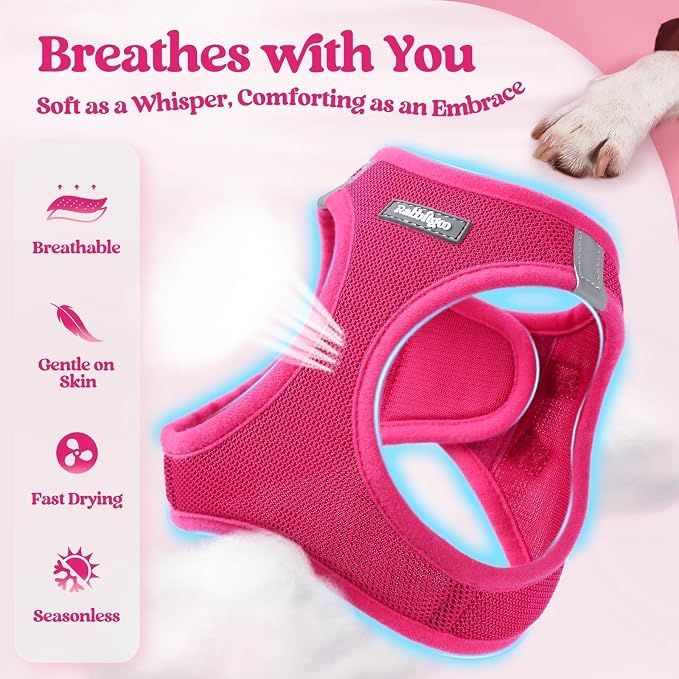 rabbitgoo Dog Harness Medium Sized and Leash Set, Step-in Puppy Pet Vest | Light, Soft, Breathable Air Mesh, Easy on and Remove with Hook & Loop, Secure Reflective for Walking, Rose Red XL - Image 4