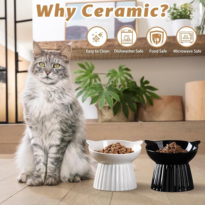Ceramic Raised Cat Bowl，Tilted Raised Bowl Anti Vomit Bowls for Indoor Cats Whisker Friendly Pet Feeder for Cats Puppies, Microwave and Dishwasher Safe - Image 6